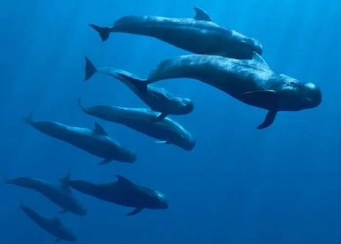 Mit Aussicht Auf Und Klippen By Interhome Lägenhet Acantilado de los Gigantes